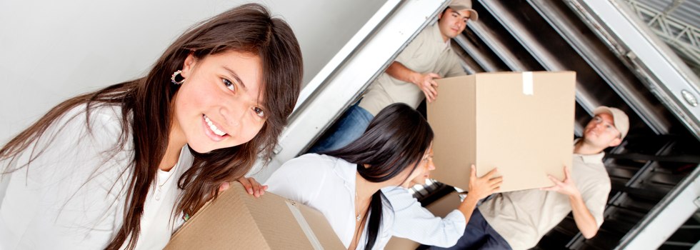 Professional Removalists Elphinstone VIC
